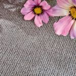 JOKA TEP Deluxe balance Aruba