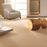 Vorwerk S1 Lyrica
